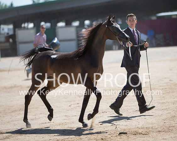 Region3_2015_Sun_0401 copy
