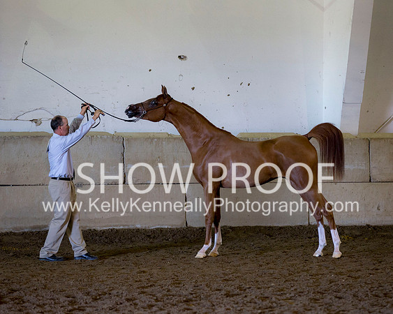 Region3_2015_Sun_0412 copy