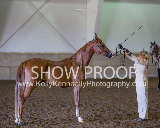 Region3_2015_Sun_0418 copy