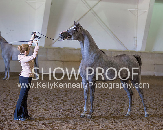 Region3_2015_Sun_0423 copy