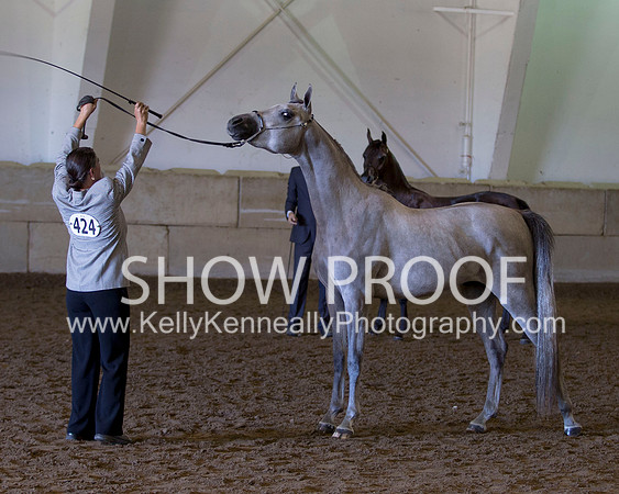 Region3_2015_Sun_0427 copy