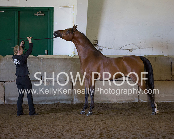 Region3_2015_Sun_0453 copy
