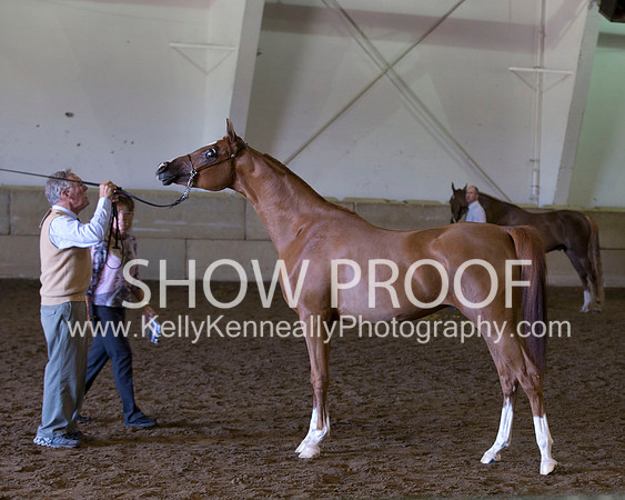 Region3_2015_Sun_0470 copy