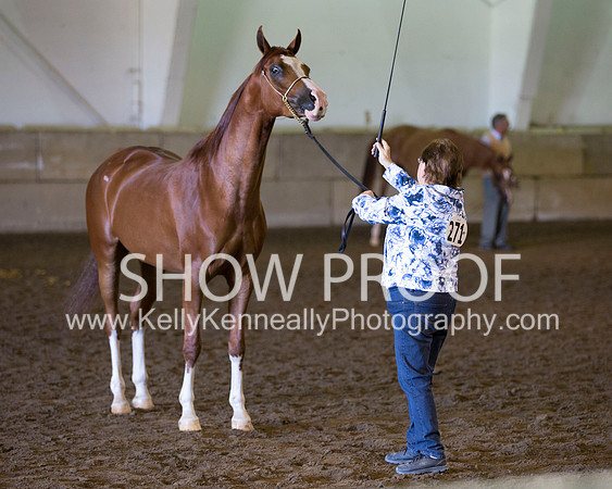 Region3_2015_Sun_0479 copy