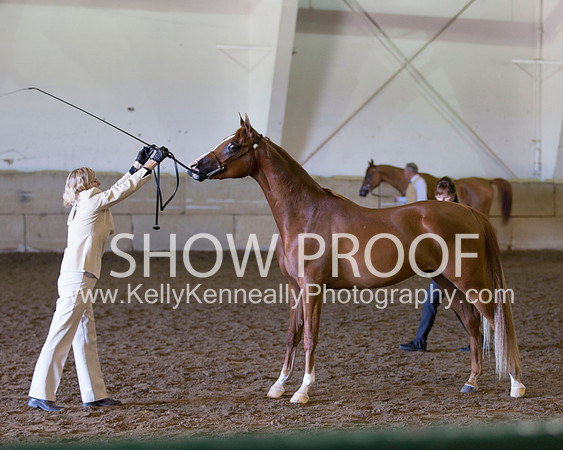 Region3_2015_Sun_0486 copy