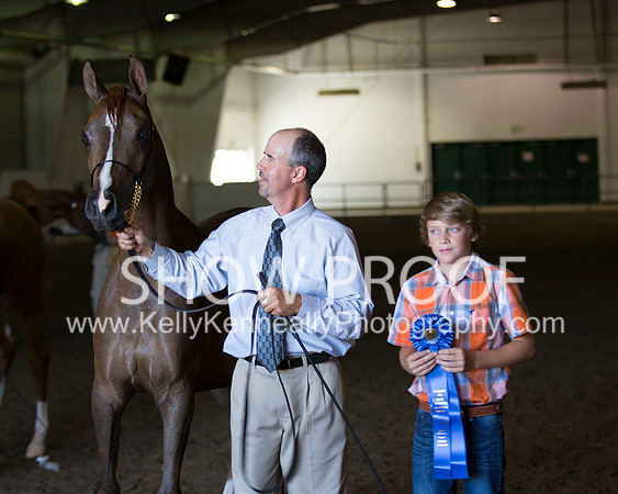 Region3_2015_Sun_0487 copy