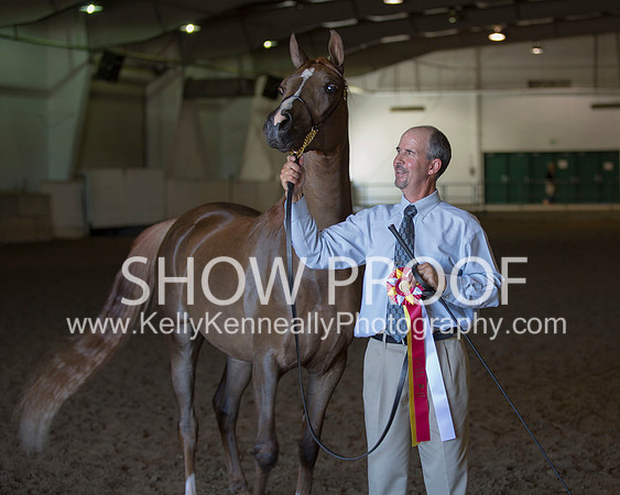 Region3_2015_Sun_0493 copy