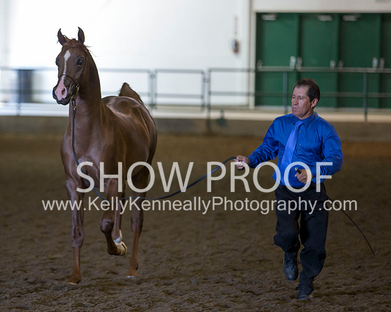 Region3_2015_Sun_0497 copy