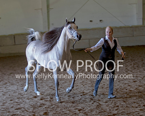Region3_2015_Sun_0518 copy