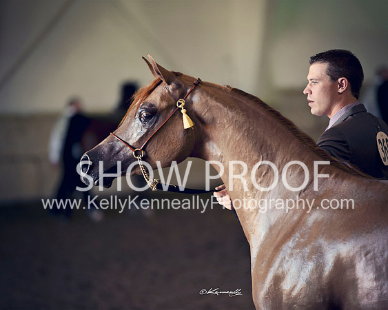 Region3_2015_Sun_0549 copy