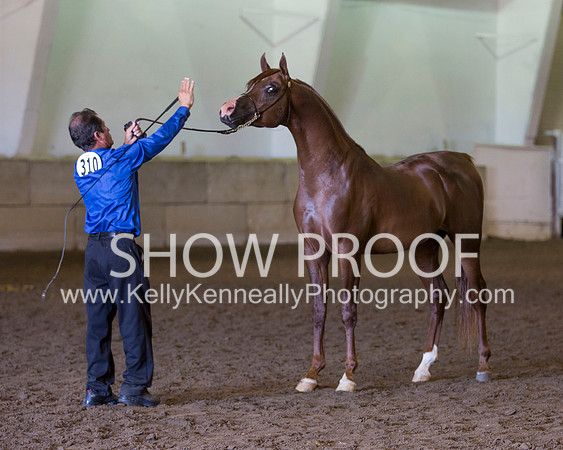 Region3_2015_Sun_0560 copy