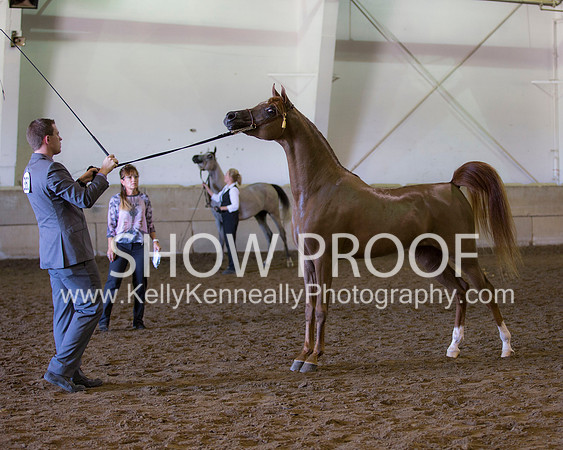 Region3_2015_Sun_0565 copy