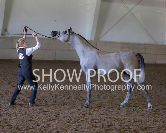 Region3_2015_Sun_0571 copy