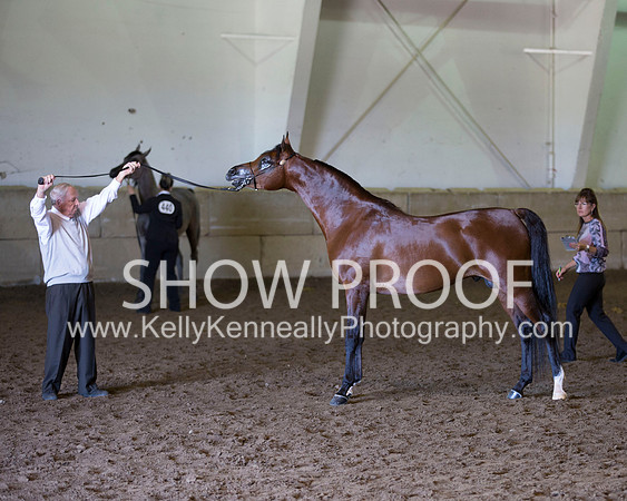 Region3_2015_Sun_0575 copy