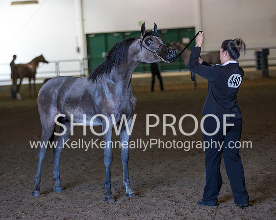 Region3_2015_Sun_0578 copy