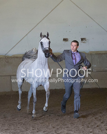 Region3_2015_Sun_0586 copy