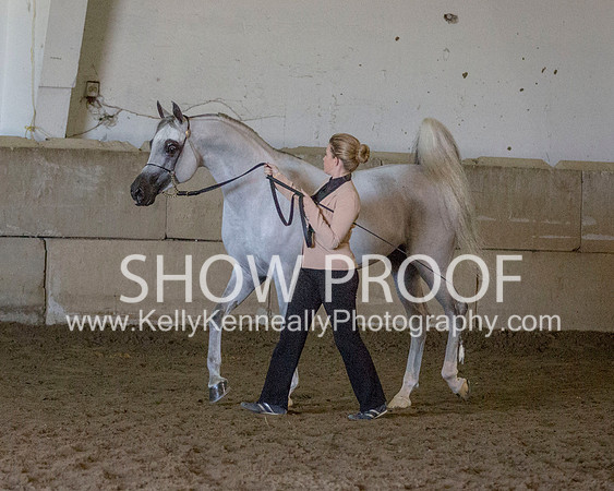 Region3_2015_Sun_0590 copy