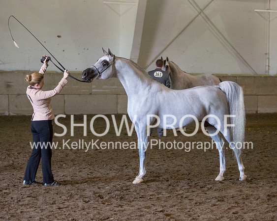 Region3_2015_Sun_0594 copy