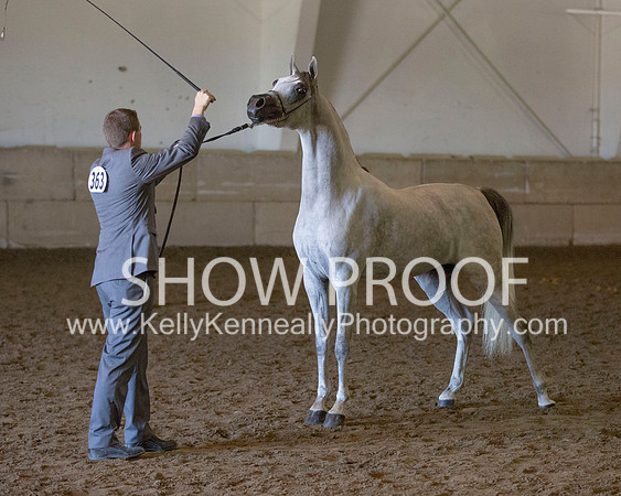 Region3_2015_Sun_0597 copy
