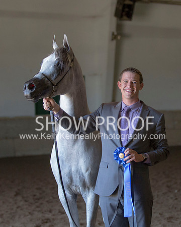 Region3_2015_Sun_0603 copy