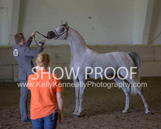 Region3_2015_Sun_0605 copy