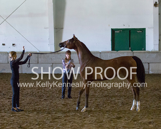 Region3_2015_Sun_0607 copy