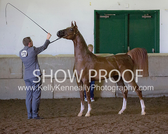 Region3_2015_Sun_0625 copy