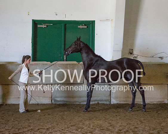 Region3_2015_Sun_0633 copy