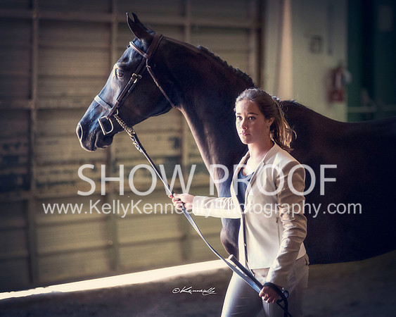Region3_2015_Sun_0637 copy