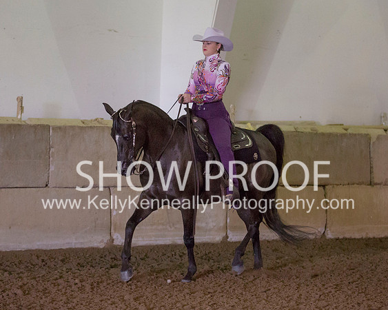 Region3_2015_MonHorsemanship_0648 copy