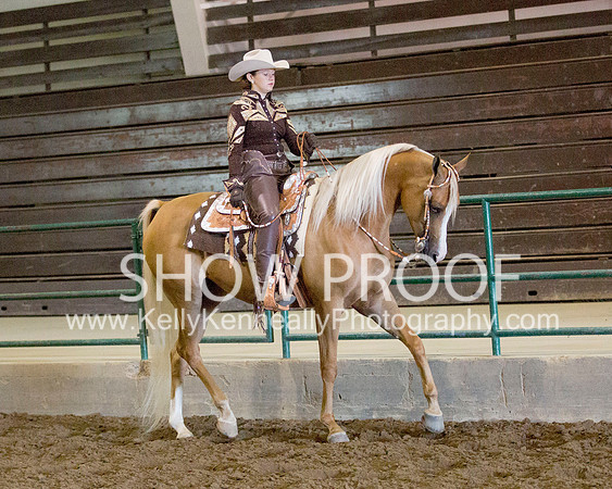 Region3_2015_MonHorsemanship_0650 copy