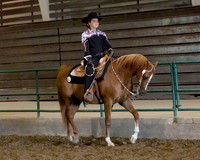 Region3_2015_MonHorsemanship_0653 copy