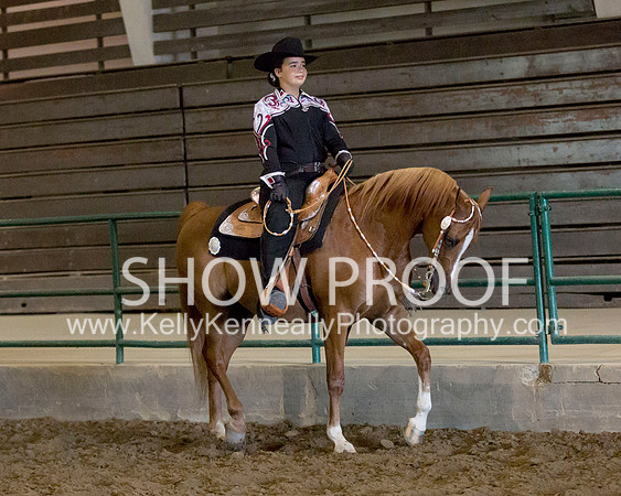 Region3_2015_MonHorsemanship_0653 copy