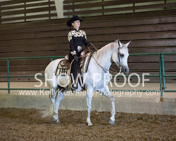 Region3_2015_MonHorsemanship_0657 copy
