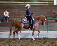 Region3_2015_MonHorsemanship_0662 copy