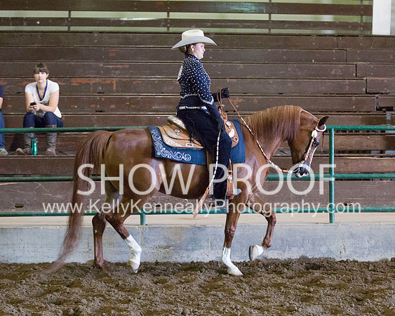 Region3_2015_MonHorsemanship_0662 copy
