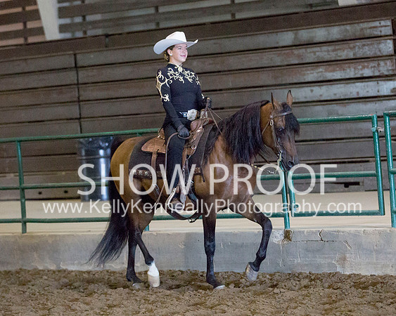 Region3_2015_MonHorsemanship_0665 copy