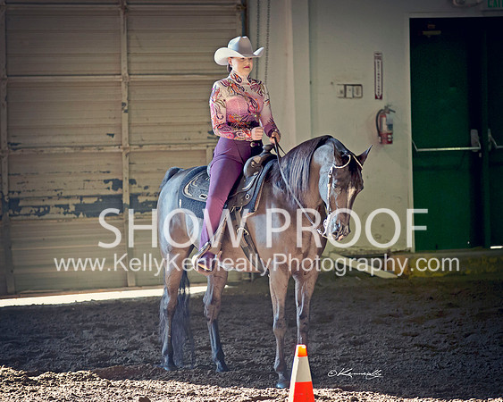 Region3_2015_MonHorsemanship_0672 copy