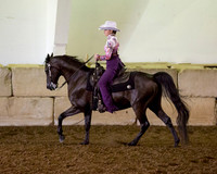 Region3_2015_MonHorsemanship_0677 copy