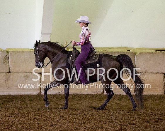 Region3_2015_MonHorsemanship_0677 copy
