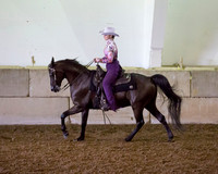 Region3_2015_MonHorsemanship_0678 copy