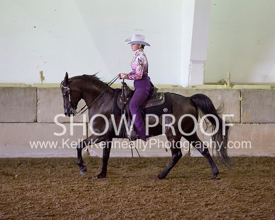 Region3_2015_MonHorsemanship_0678 copy
