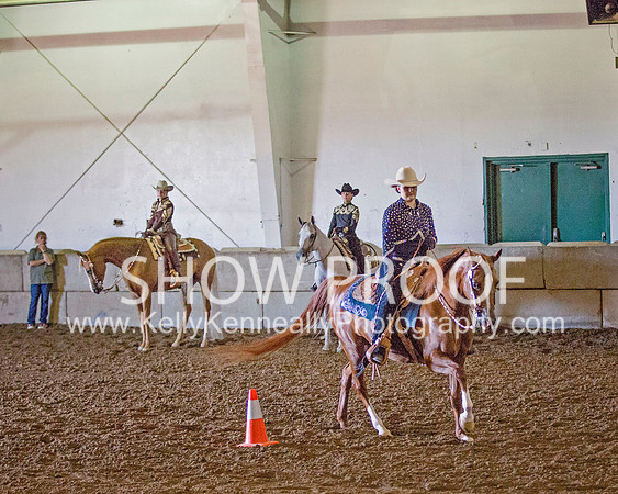 Region3_2015_MonHorsemanship_0681 copy