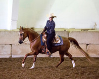 Region3_2015_MonHorsemanship_0683 copy