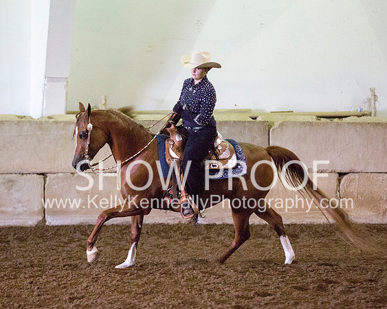 Region3_2015_MonHorsemanship_0683 copy
