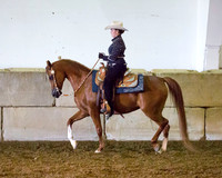 Region3_2015_MonHorsemanship_0687 copy
