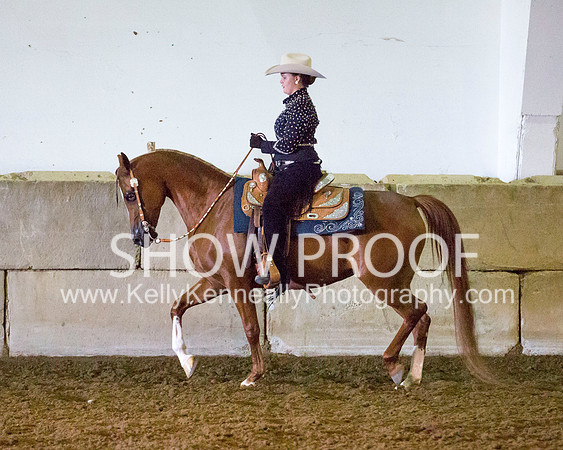 Region3_2015_MonHorsemanship_0687 copy
