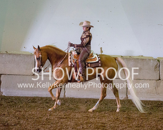 Region3_2015_MonHorsemanship_0694 copy