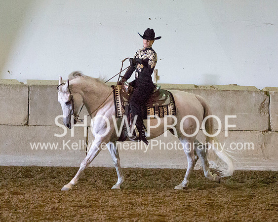 Region3_2015_MonHorsemanship_0700 copy