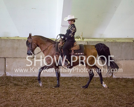 Region3_2015_MonHorsemanship_0706 copy